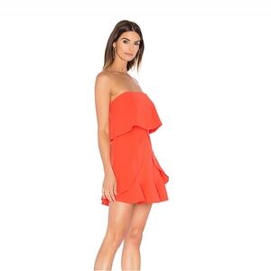 BCBG MaxAzria Charlot Poinsetta dress